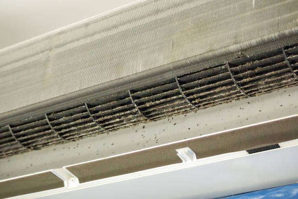 Best HVAC Duct Inspection Services  in Nashville, TN